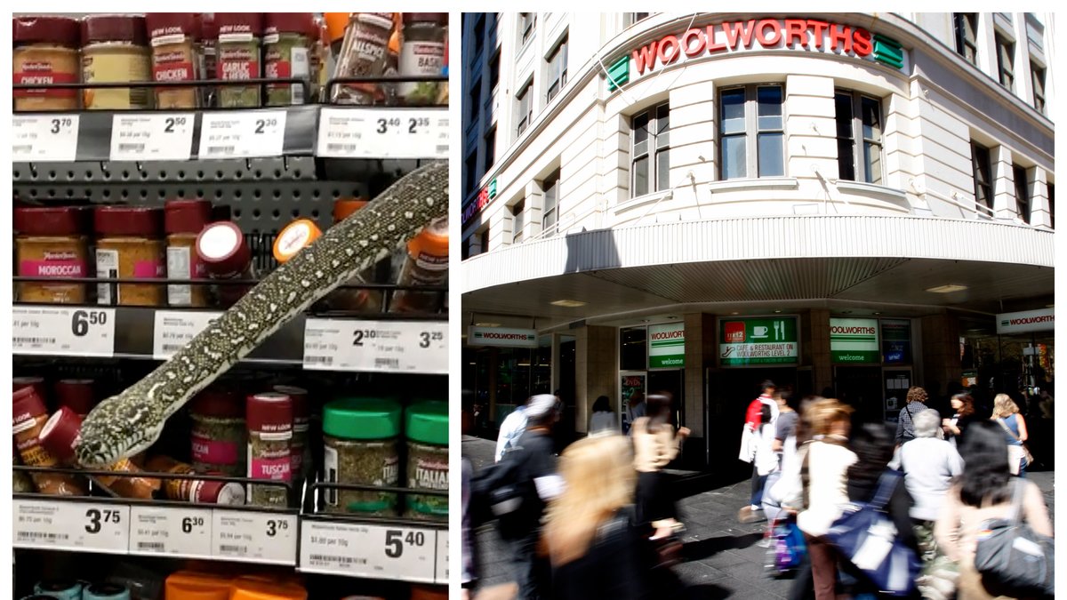 En tre meter lång pytonorm upptäcktes i kryddhyllan på matbutiken Woolworths i Sydney.